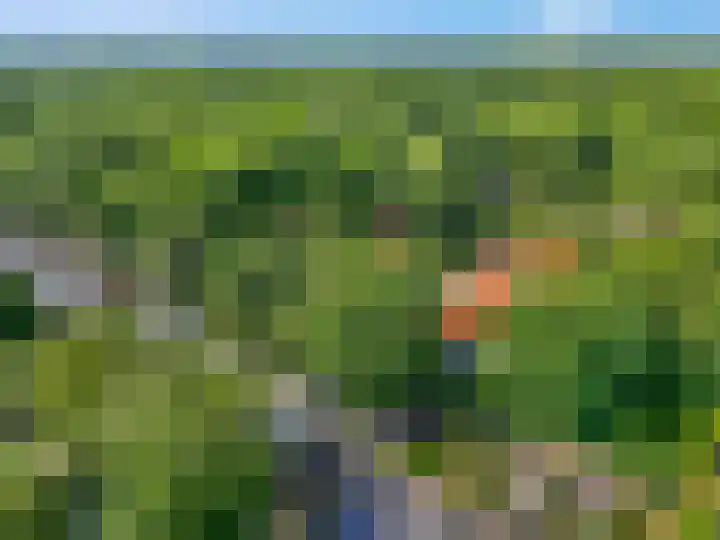 Buurtscheuterlaan 99 Ede thumbnail 43