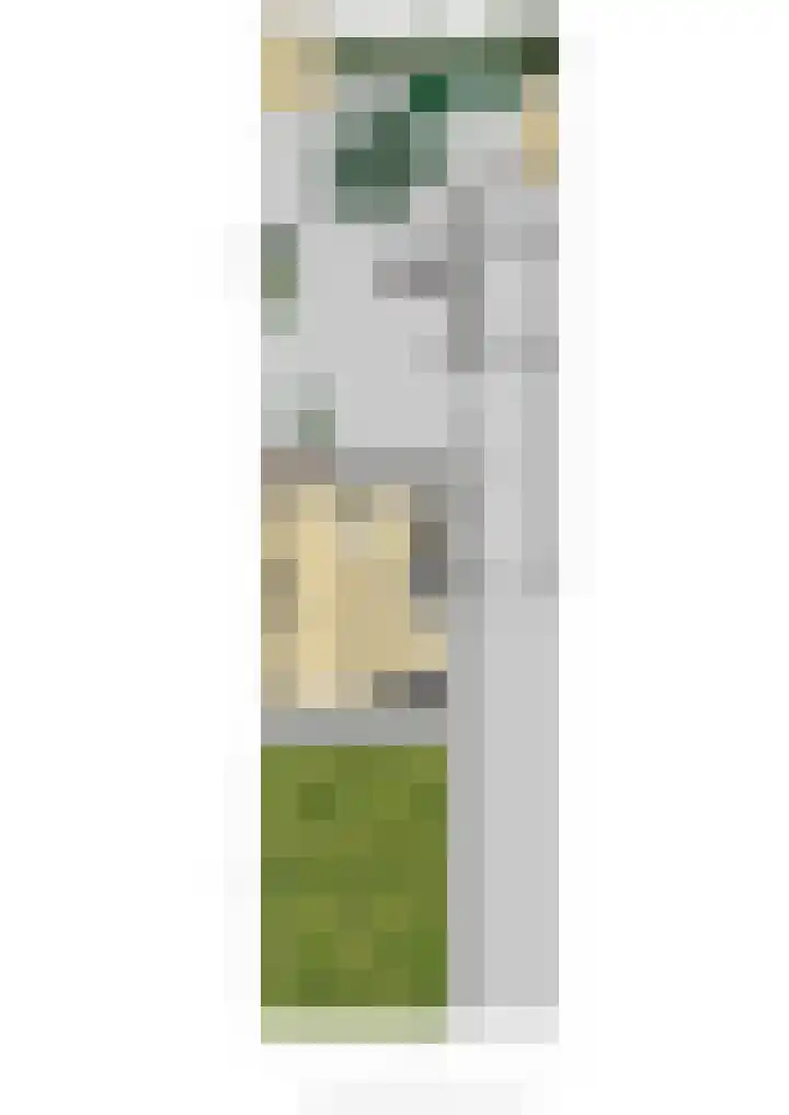 Buurtscheuterlaan 99 Ede thumbnail 48