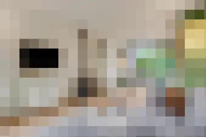 Buurtscheuterlaan 99 Ede thumbnail 5