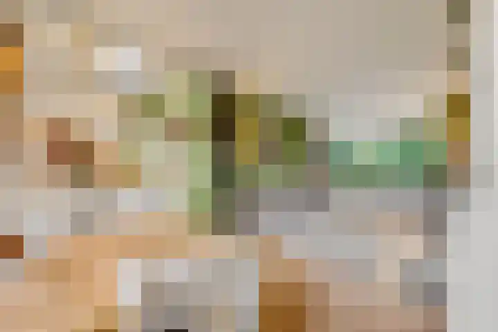 Buurtscheuterlaan 99 Ede thumbnail 6