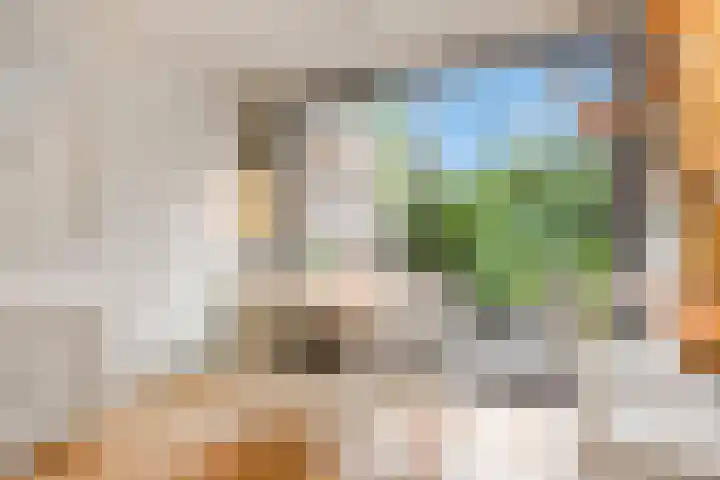 Buurtscheuterlaan 99 Ede thumbnail 7