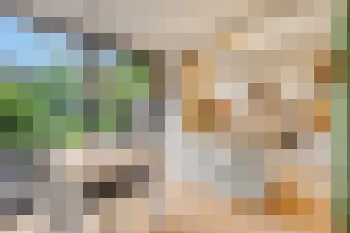 Buurtscheuterlaan 99 Ede thumbnail 9