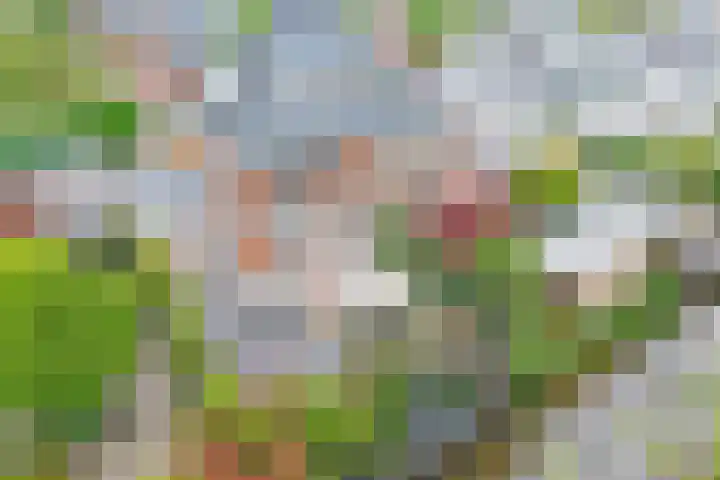 Buurtsdijk 15 Hooglanderveen thumbnail 10