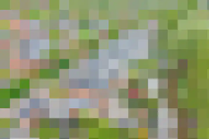 Buurtsdijk 15 Hooglanderveen thumbnail 11