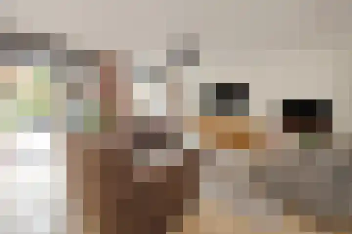 Buurtsdijk 15 Hooglanderveen thumbnail 16