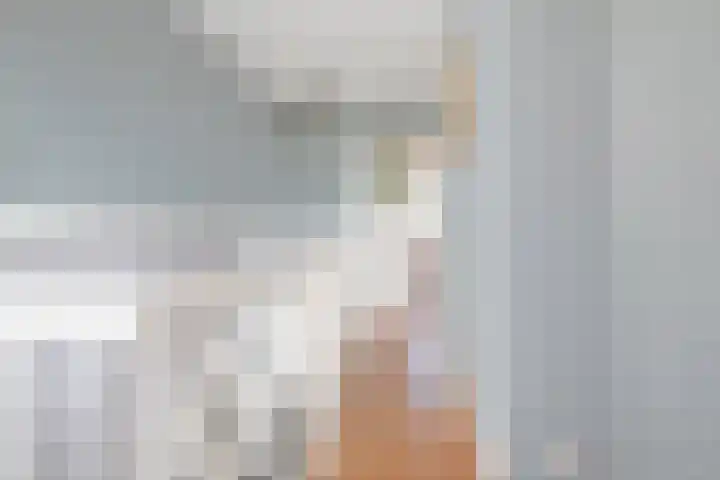 Buurtsdijk 15 Hooglanderveen thumbnail 30