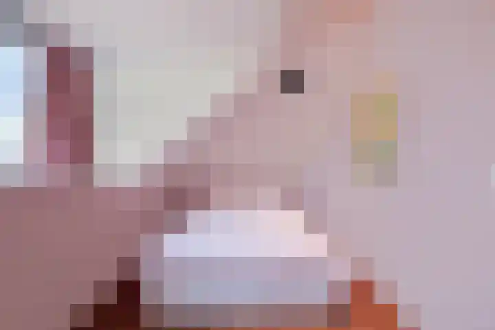 Buurtsdijk 15 Hooglanderveen thumbnail 31