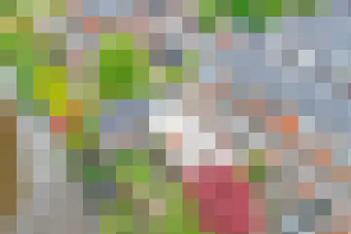 Buurtsdijk 15 Hooglanderveen thumbnail 35