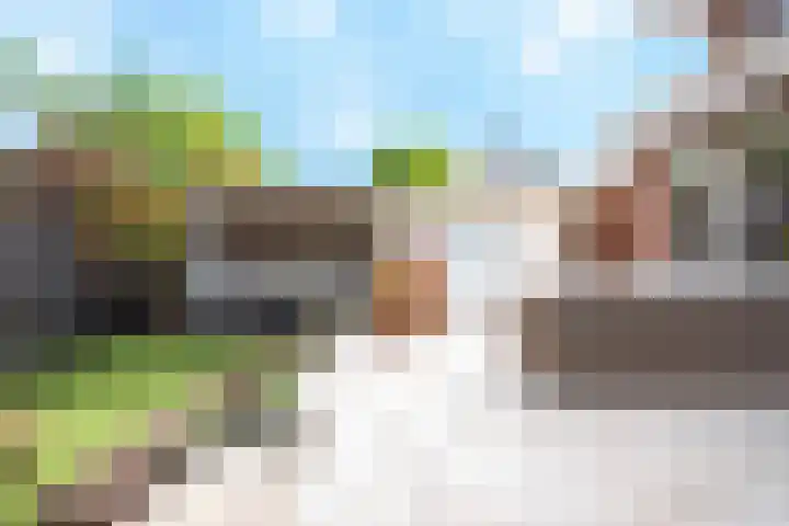 Buurtsdijk 15 Hooglanderveen thumbnail 38