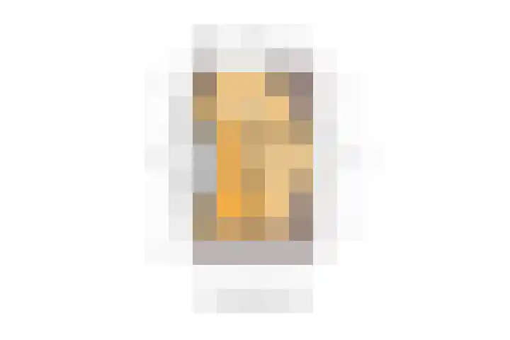 Buurtsdijk 15 Hooglanderveen thumbnail 45