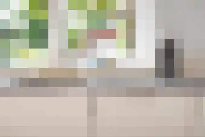 Buurtsdijk 15 Hooglanderveen thumbnail 6