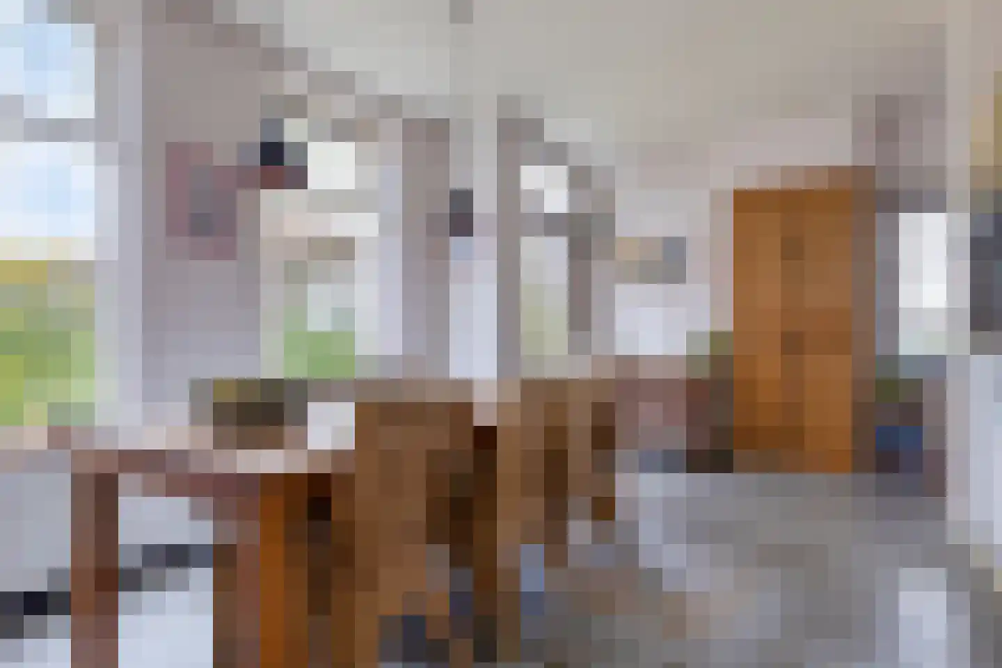 Buurtsteeg 3 Blankenham thumbnail 10