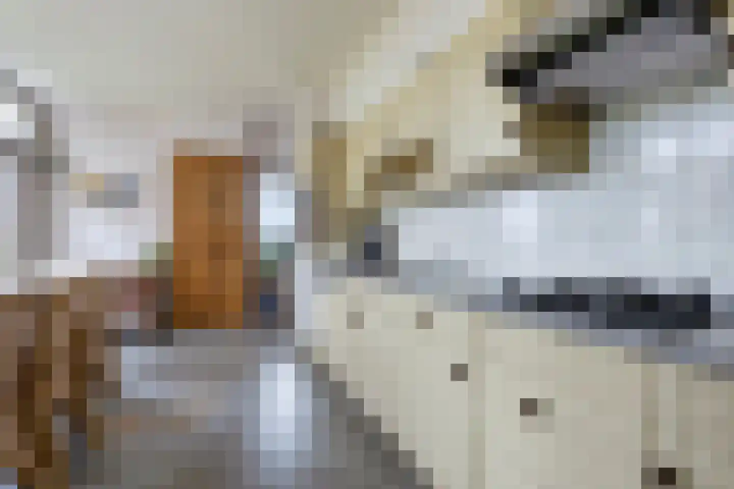 Buurtsteeg 3 Blankenham thumbnail 12