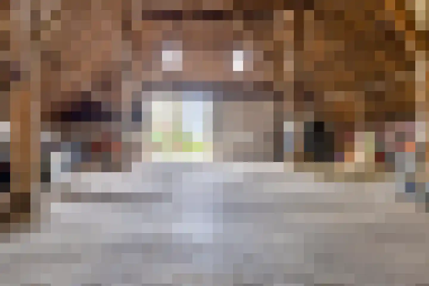 Buurtsteeg 3 Blankenham thumbnail 16