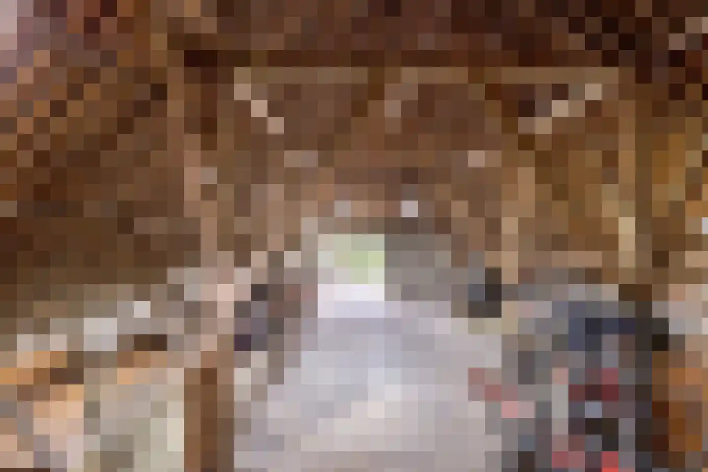 Buurtsteeg 3 Blankenham thumbnail 17