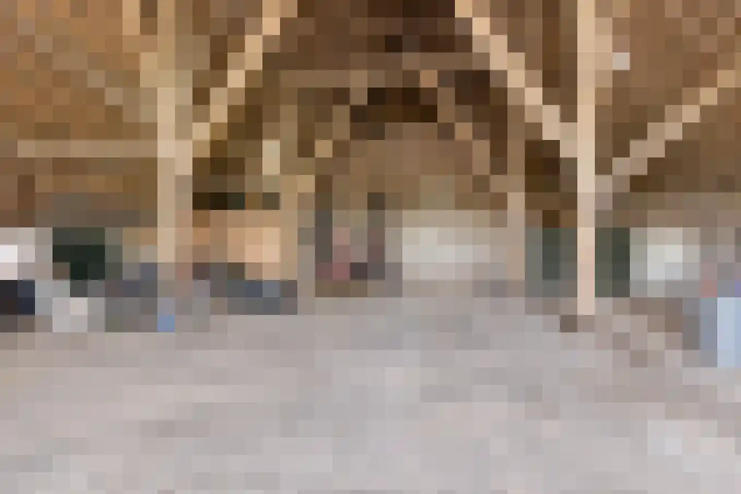 Buurtsteeg 3 Blankenham thumbnail 18