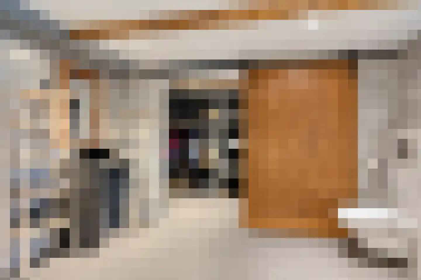 Buurtsteeg 3 Blankenham thumbnail 25