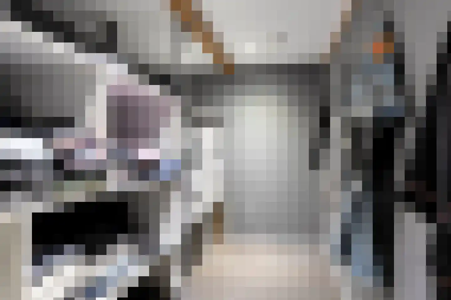Buurtsteeg 3 Blankenham thumbnail 26