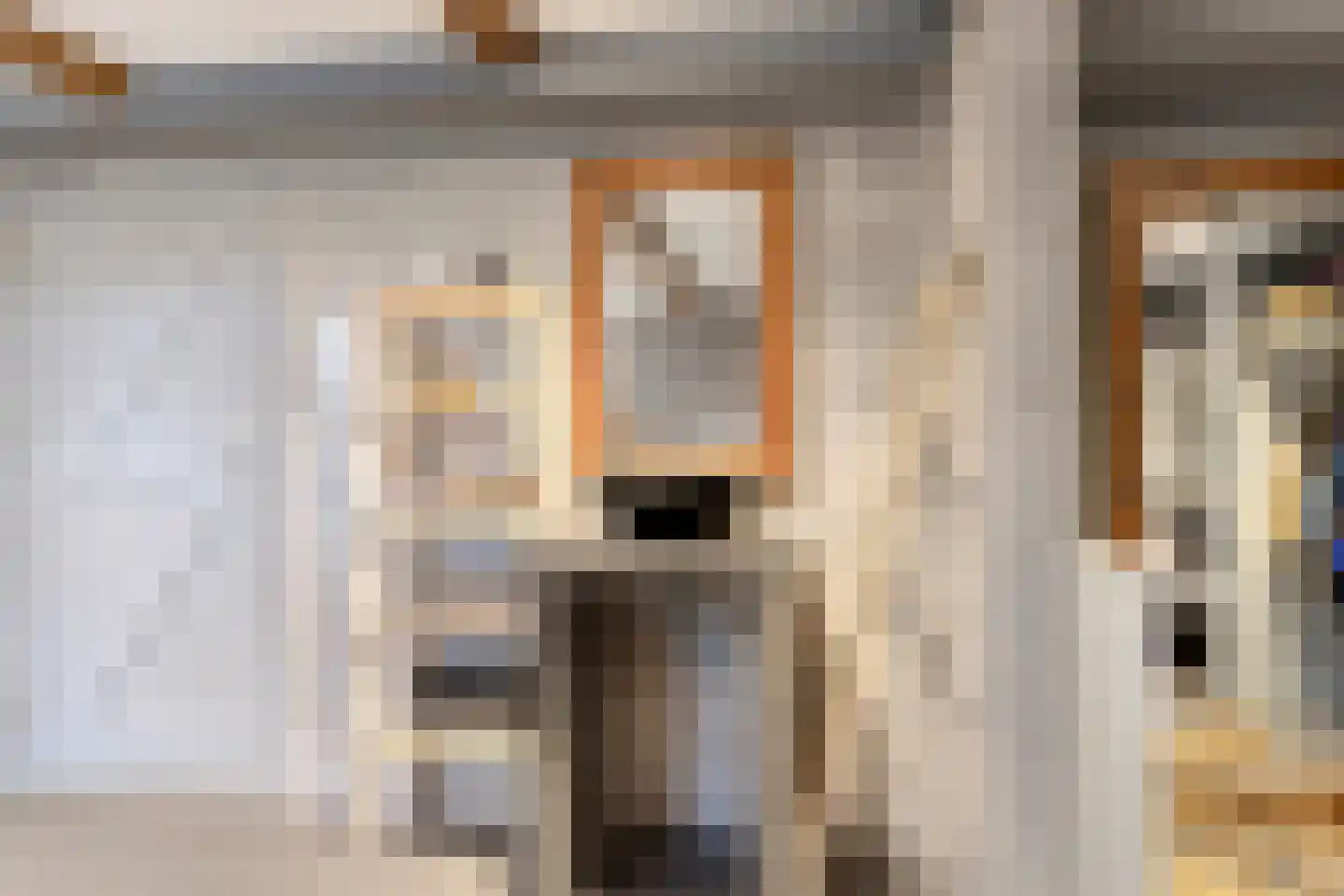 Buurtsteeg 3 Blankenham thumbnail 27