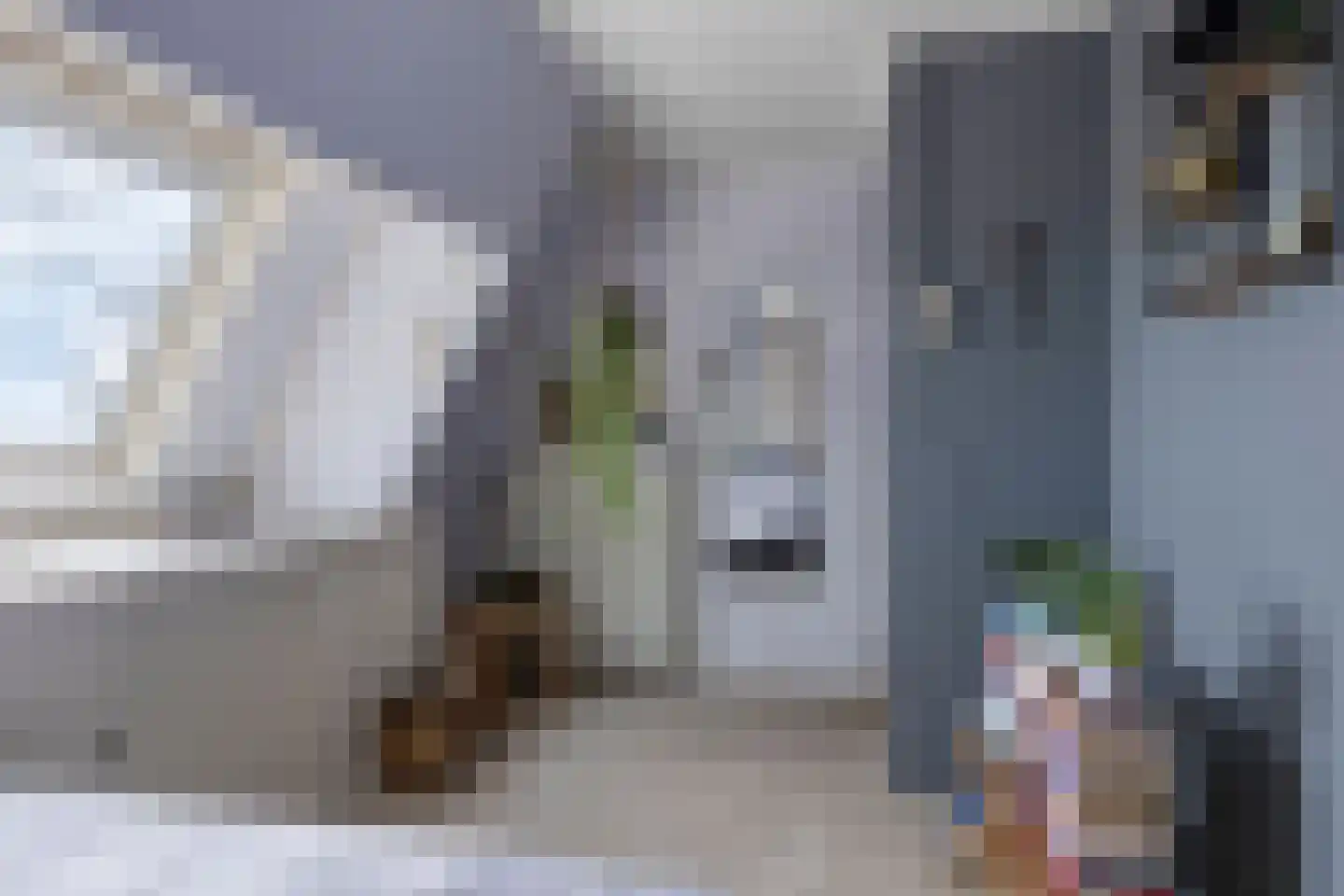 Buurtsteeg 3 Blankenham thumbnail 32
