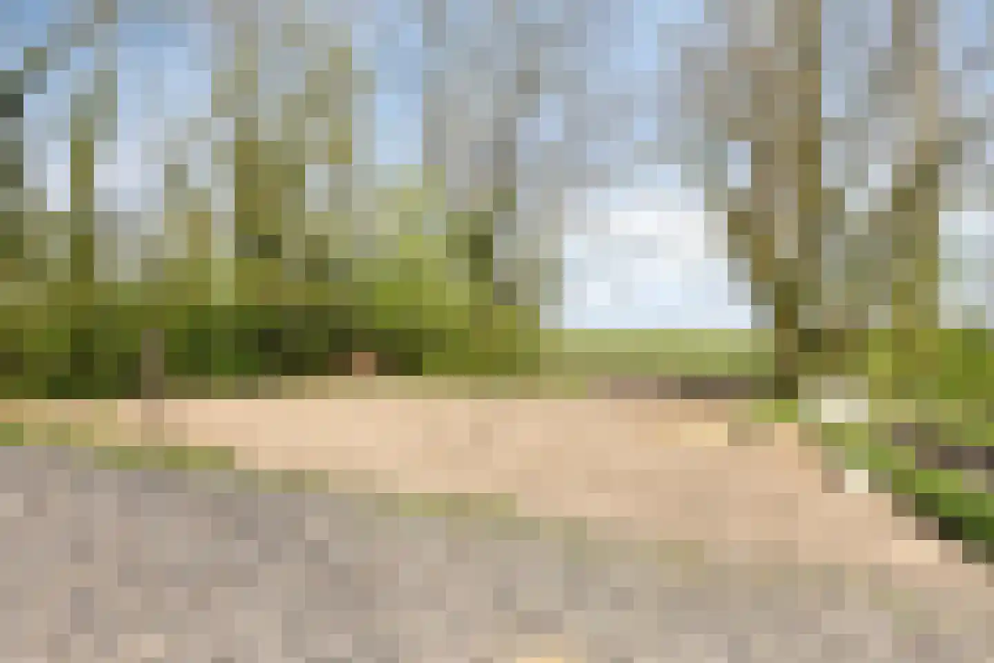 Buurtsteeg 3 Blankenham thumbnail 38