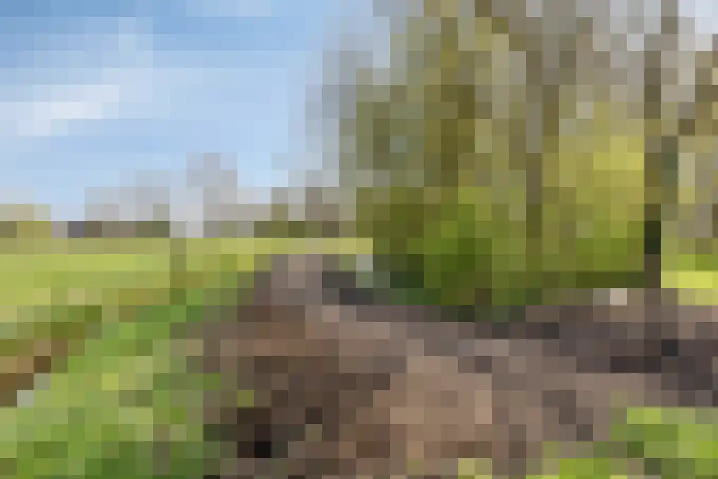 Buurtsteeg 3 Blankenham thumbnail 39