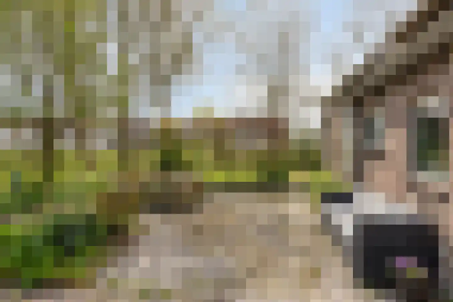 Buurtsteeg 3 Blankenham thumbnail 45