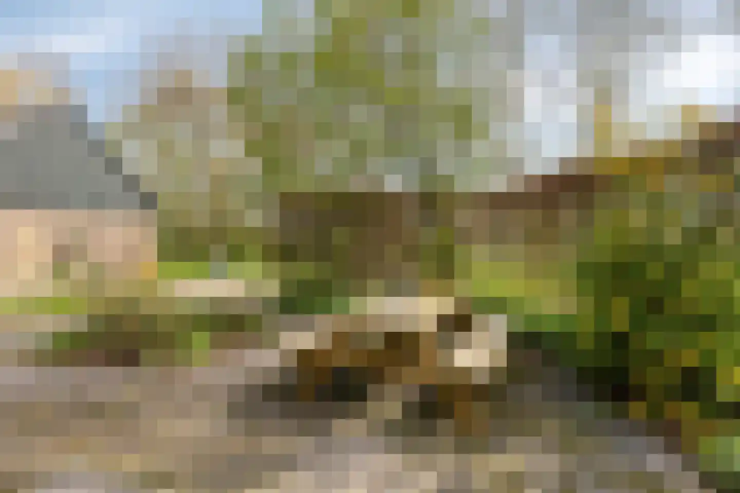 Buurtsteeg 3 Blankenham thumbnail 46