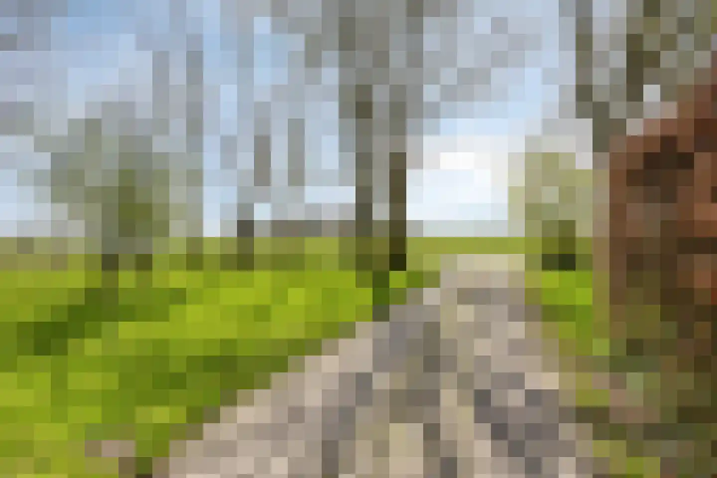 Buurtsteeg 3 Blankenham thumbnail 48