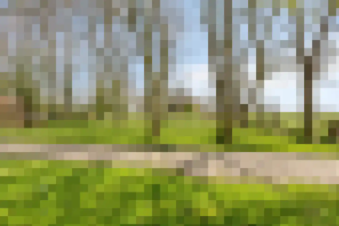 Buurtsteeg 3 Blankenham thumbnail 49