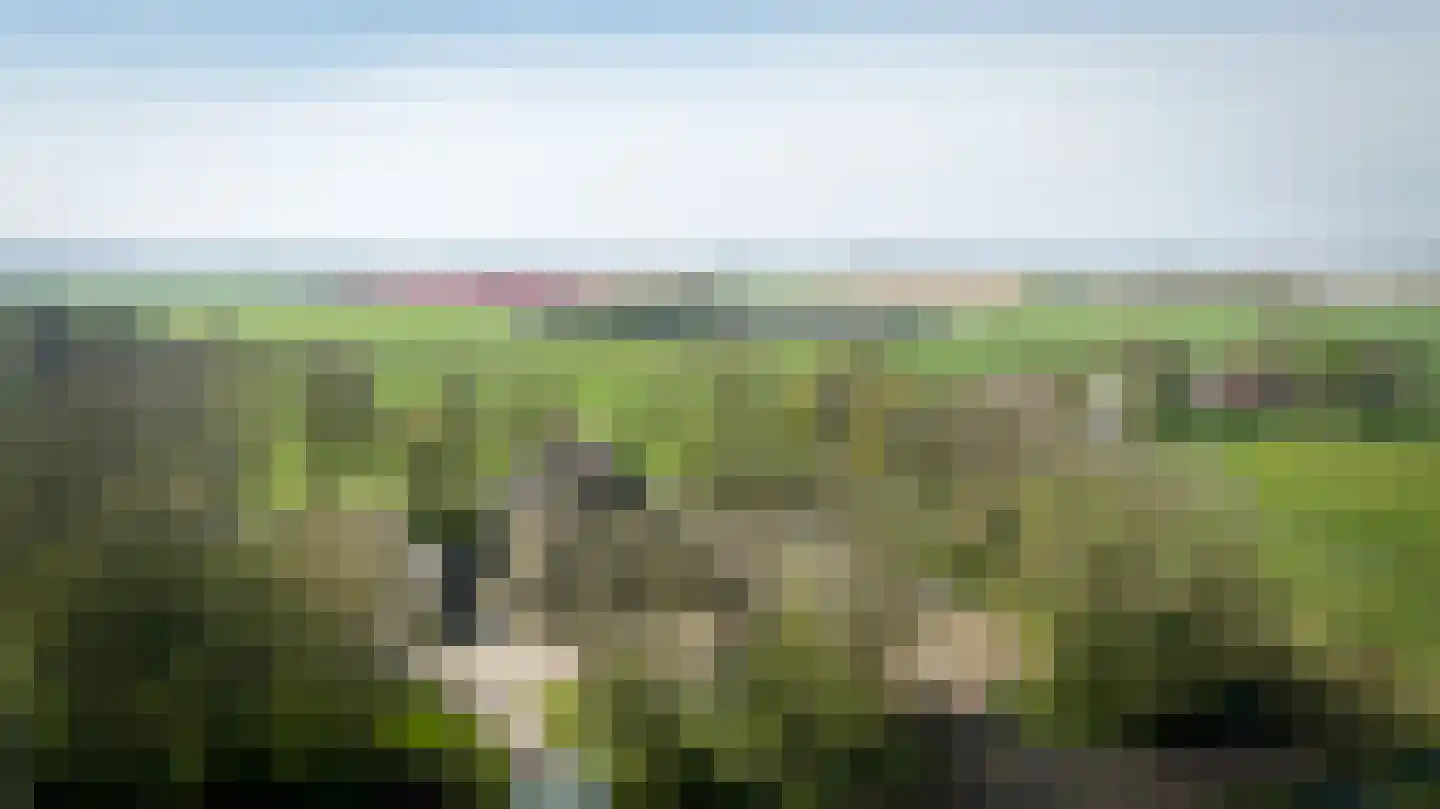 Buurtsteeg 3 Blankenham thumbnail 57