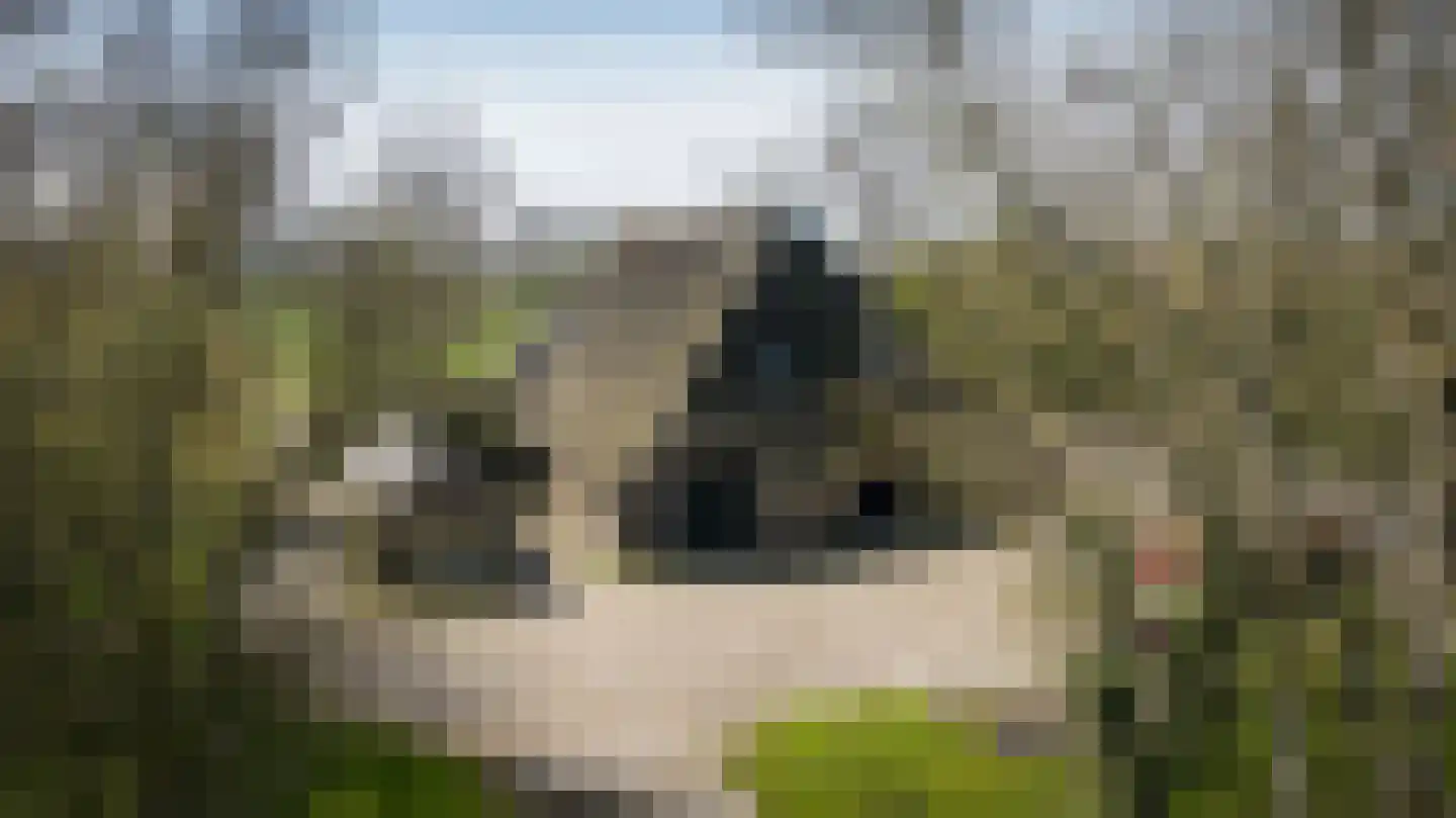 Buurtsteeg 3 Blankenham thumbnail 58