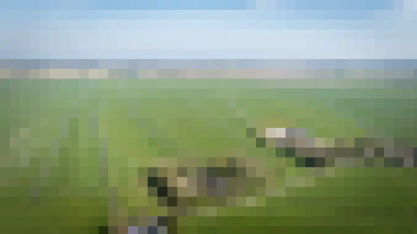 Buurtsteeg 3 Blankenham thumbnail 63