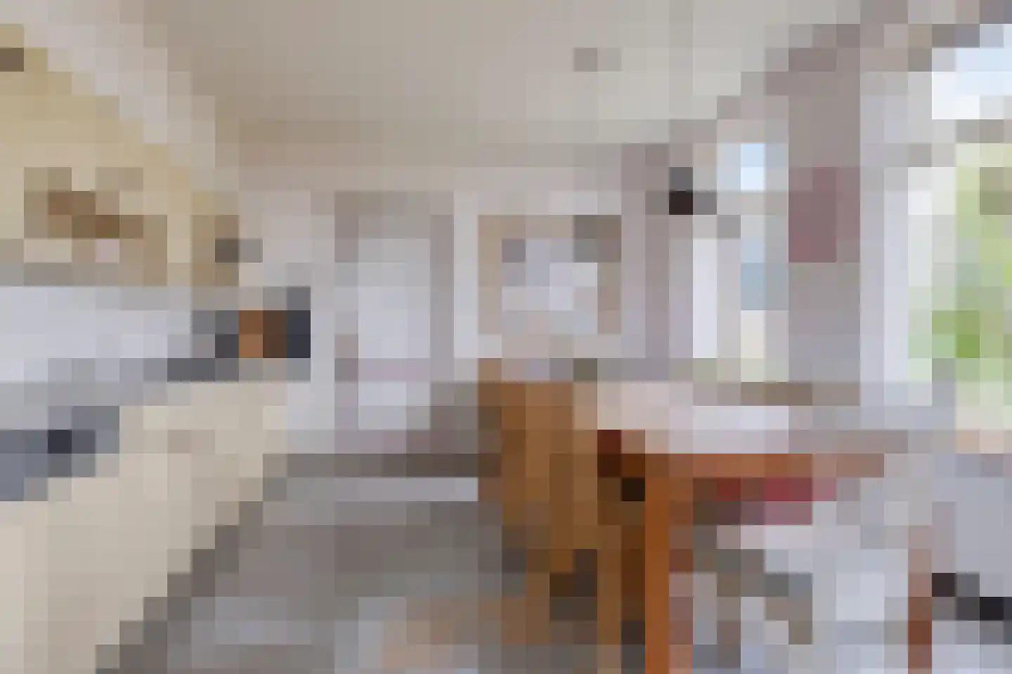 Buurtsteeg 3 Blankenham thumbnail 8