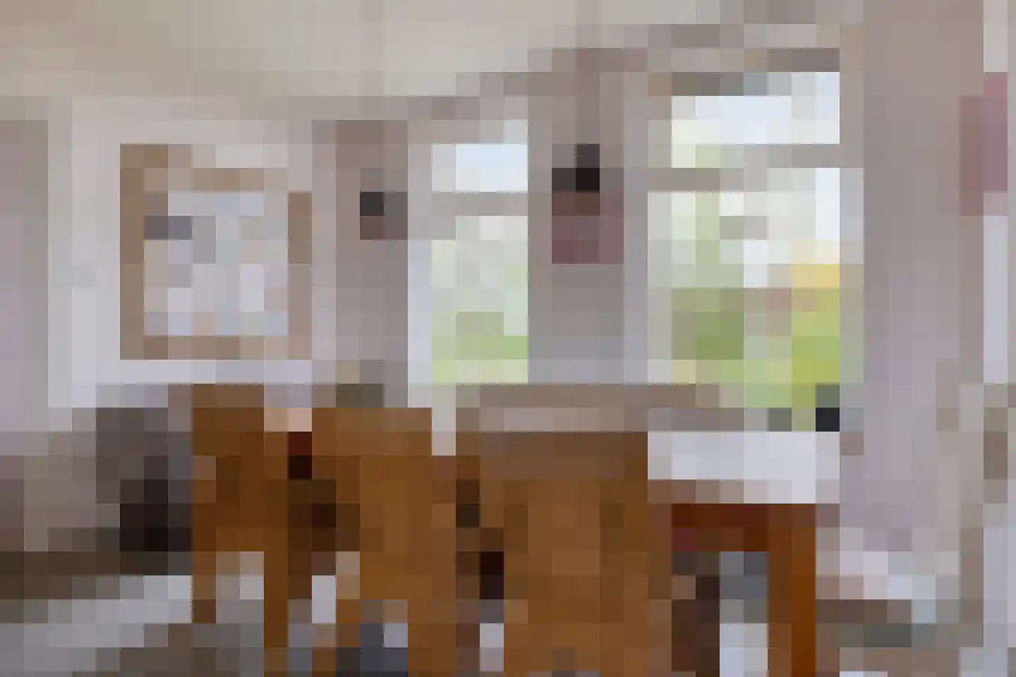 Buurtsteeg 3 Blankenham thumbnail 9