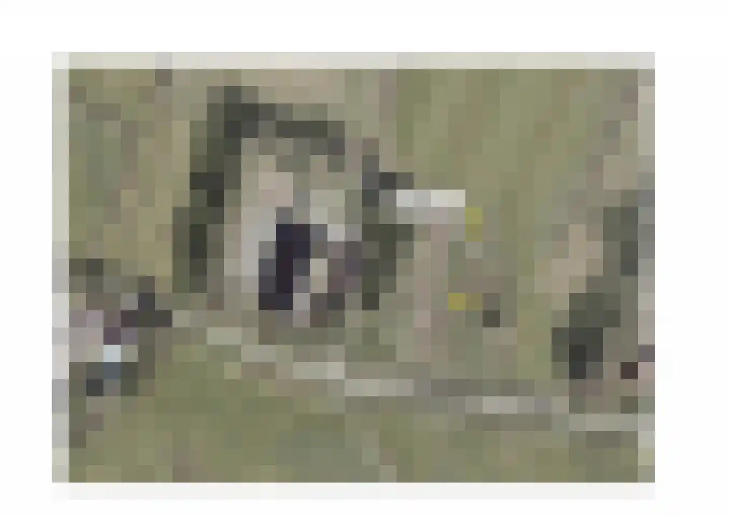 Buurtsteeg Blankenham thumbnail 10