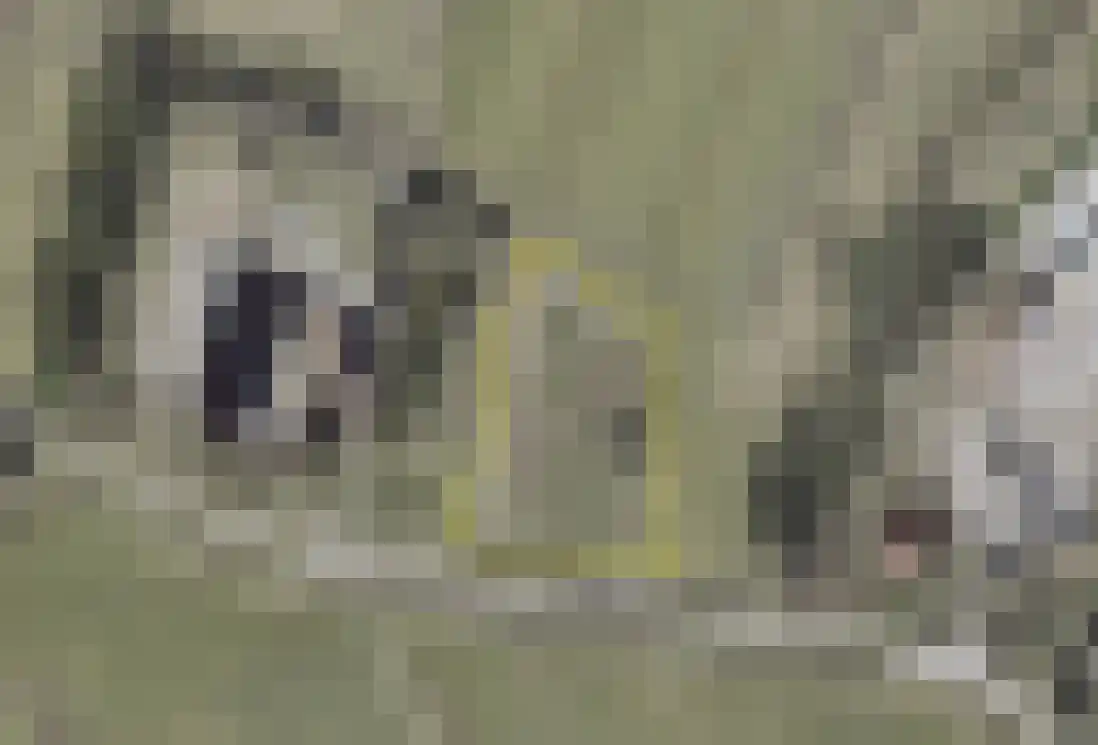 Buurtsteeg Blankenham thumbnail 10