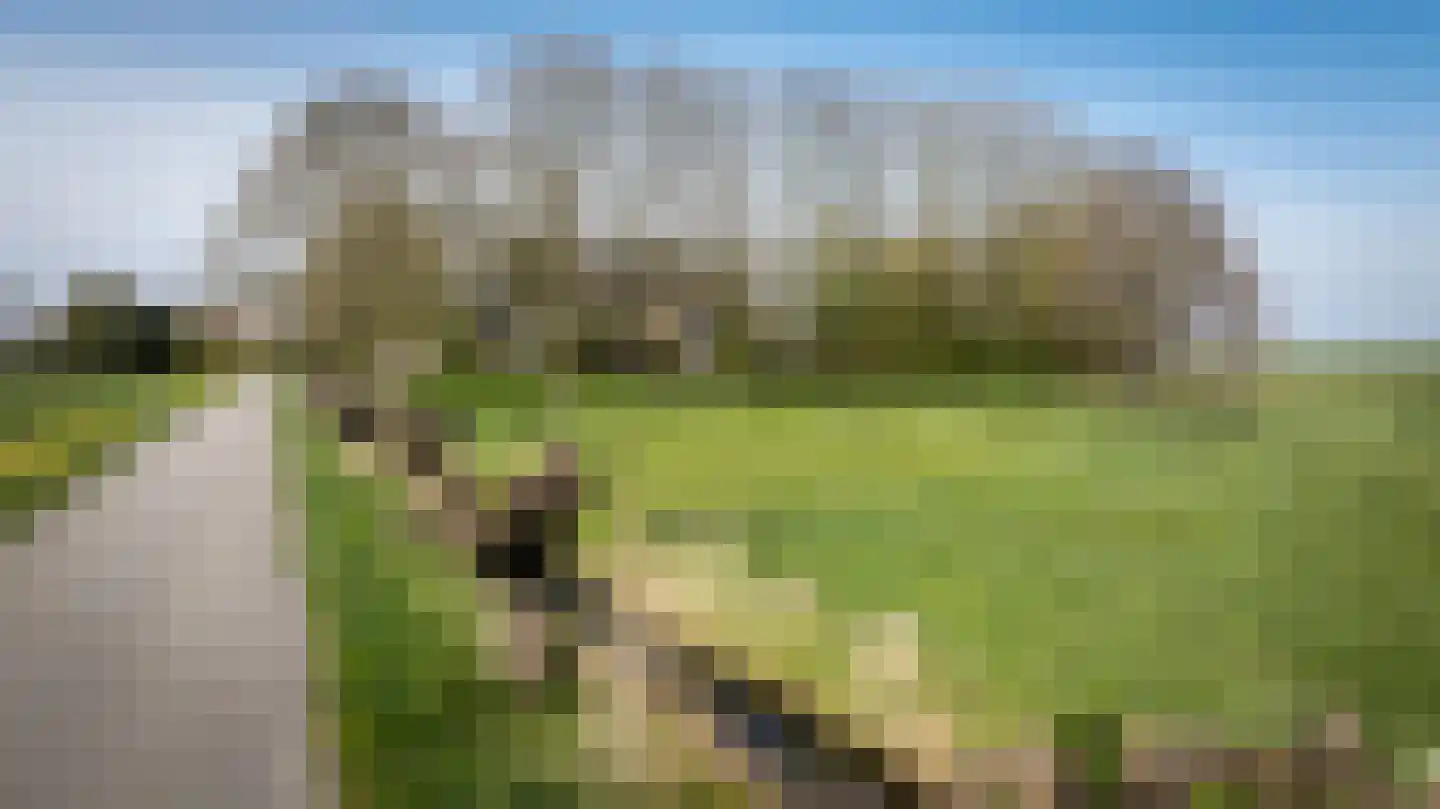 Buurtsteeg Blankenham thumbnail 4