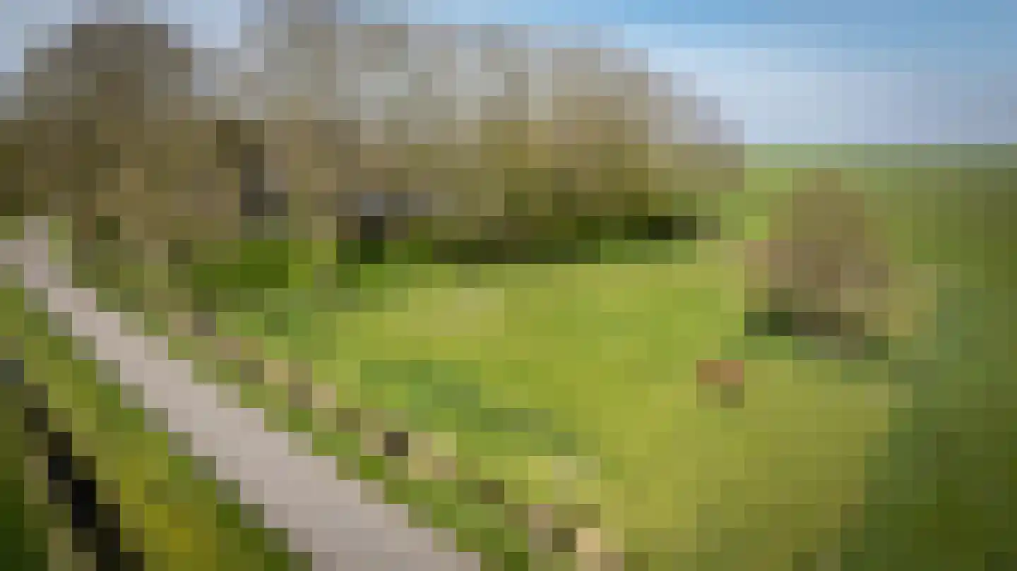 Buurtsteeg Blankenham thumbnail 5