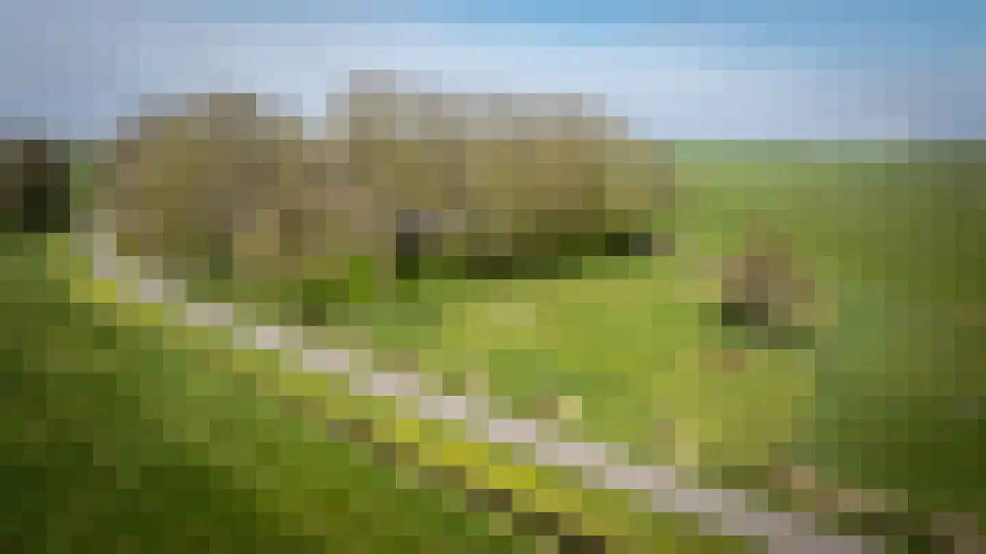 Buurtsteeg Blankenham thumbnail 6