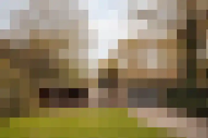 Buurtweg 103 Wassenaar thumbnail 23