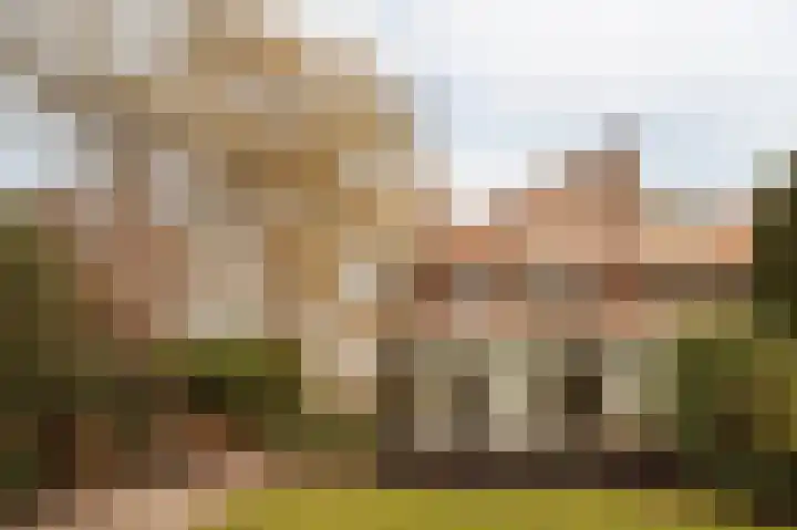 Buurtweg 103 Wassenaar thumbnail 24