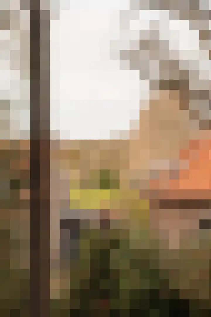 Buurtweg 103 Wassenaar thumbnail 31