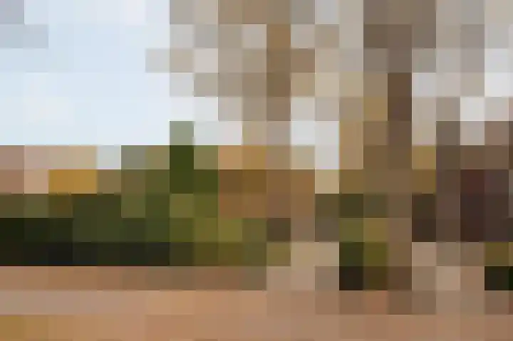 Buurtweg 103 Wassenaar thumbnail 4