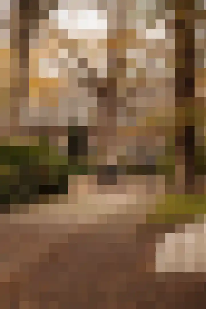 Buurtweg 103 Wassenaar thumbnail 47