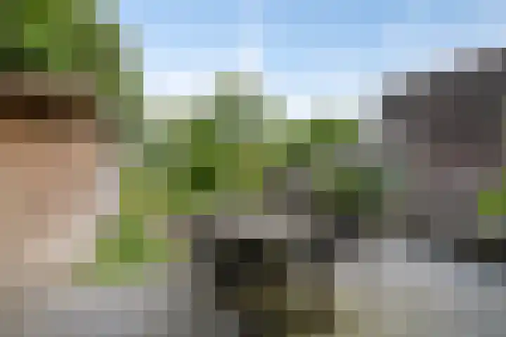 Buurtweg 104 Wassenaar thumbnail 13