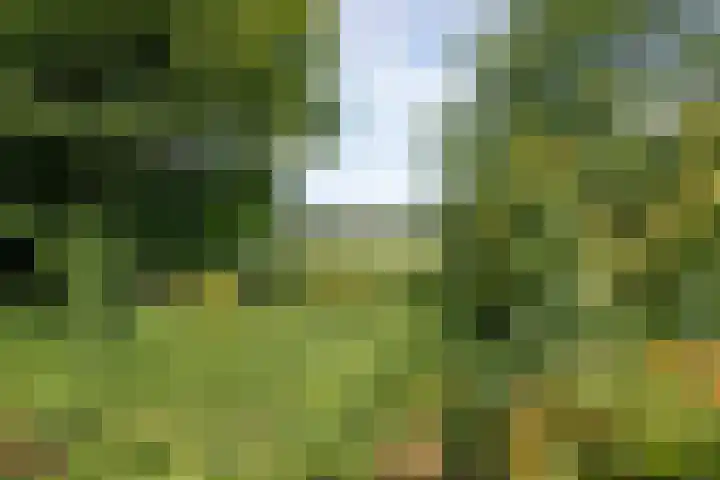 Buurtweg 104 Wassenaar thumbnail 14