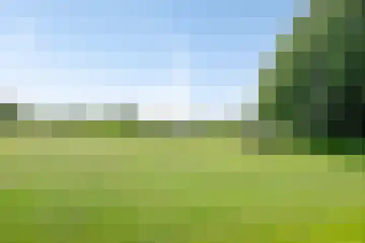 Buurtweg 104 Wassenaar thumbnail 32