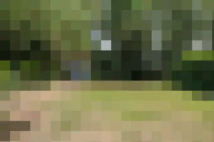 Buurtweg 109 Wassenaar thumbnail 12