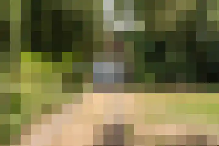Buurtweg 109 Wassenaar thumbnail 13